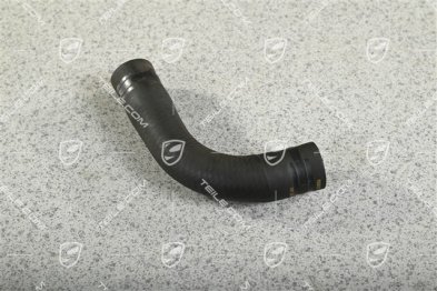Hose