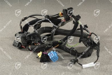 Wiązka instalacji elektrycznej drzwi strona pasażera, System audio BOSE, L