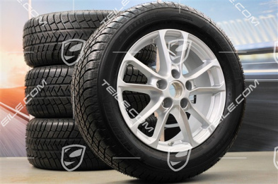 18" Winterräder Satz "Cayenne" Facelift 2014->, Felgen 8J x 18 ET53 + Michelin Winterreifen 255/55 R18, mit RDK-Sensoren
